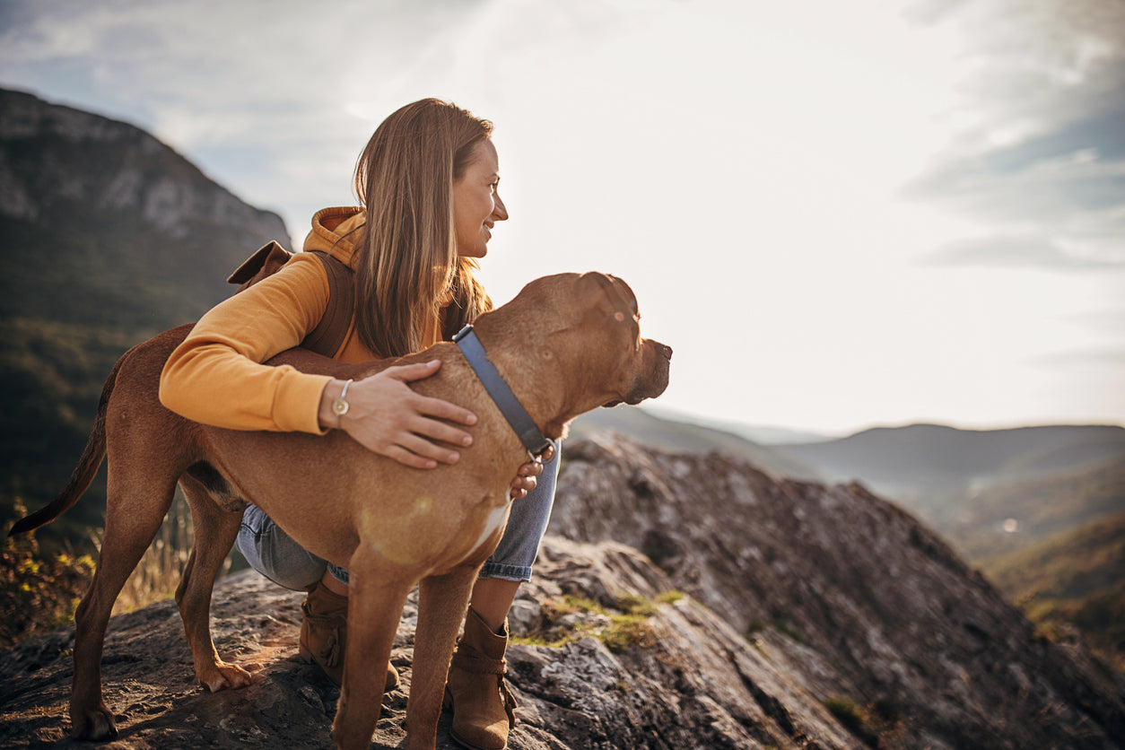 Female hiker sitting on top of a mountain with her dog during their hiking trip.