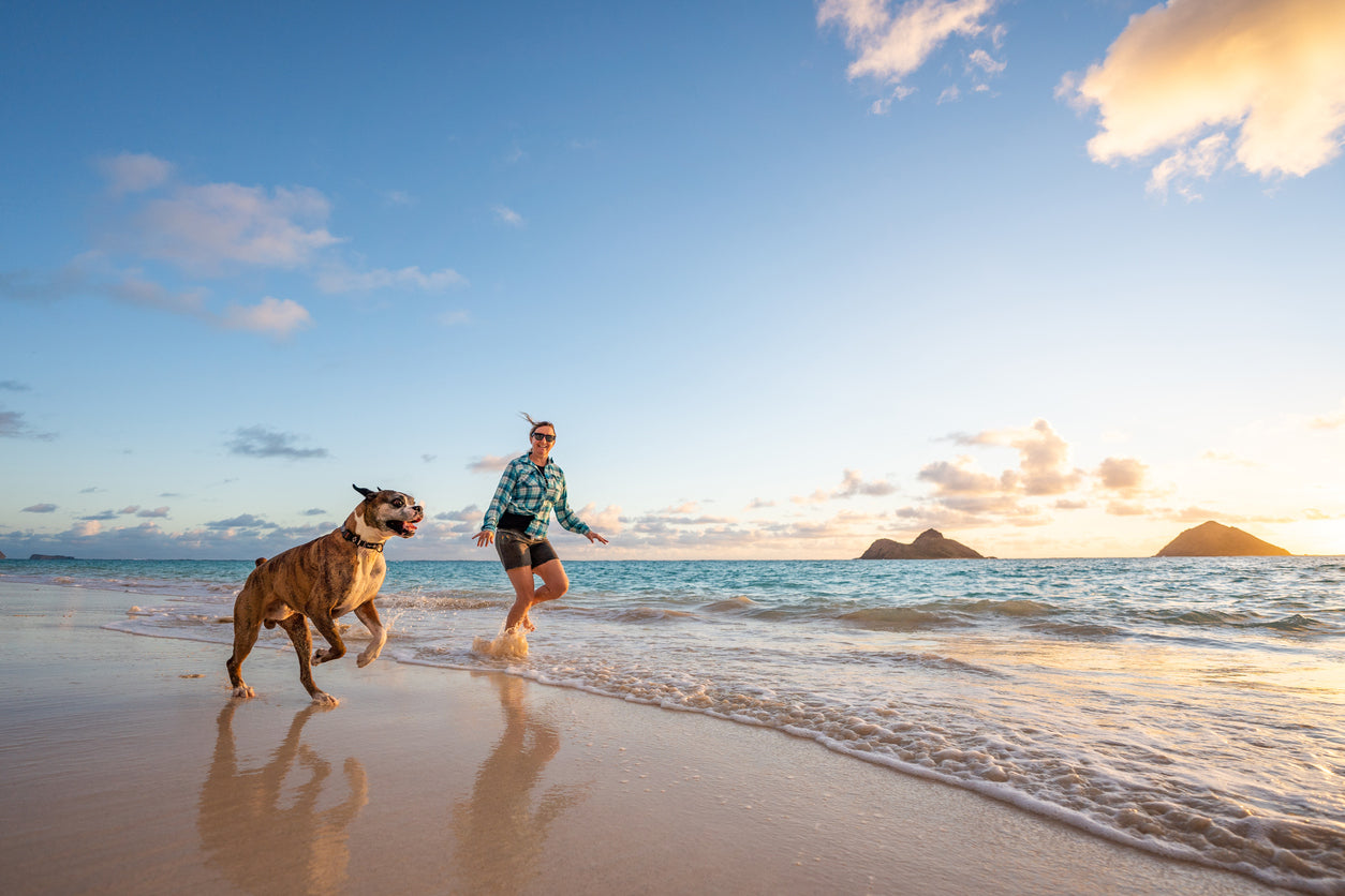 Woman having fun and running alongside her large dog while enjoying fun beach games.