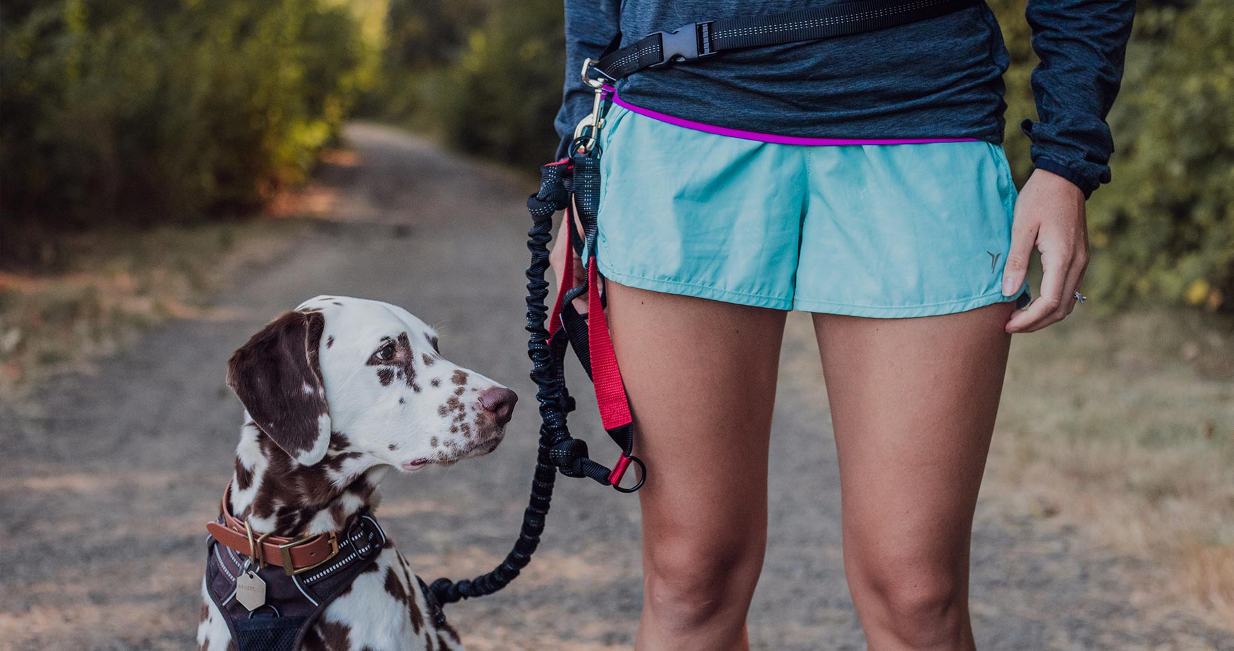 Iron Doggy hands-free dog leash with dog